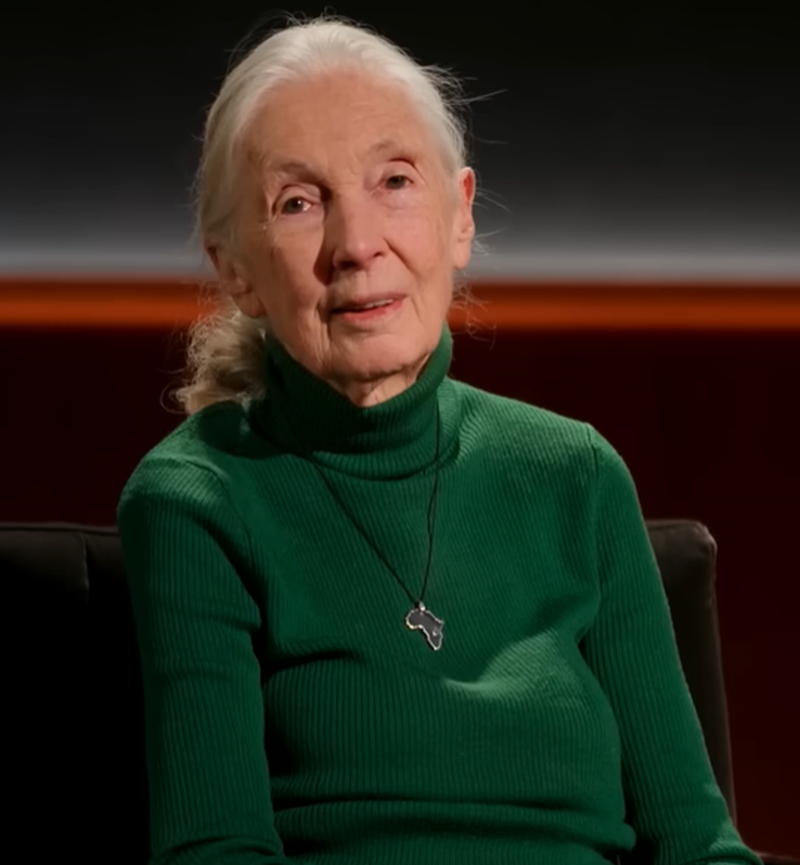 jane-goodall